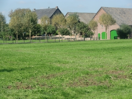 Kranenburg-Mehr : Wibbeltstraße, Bauernhof